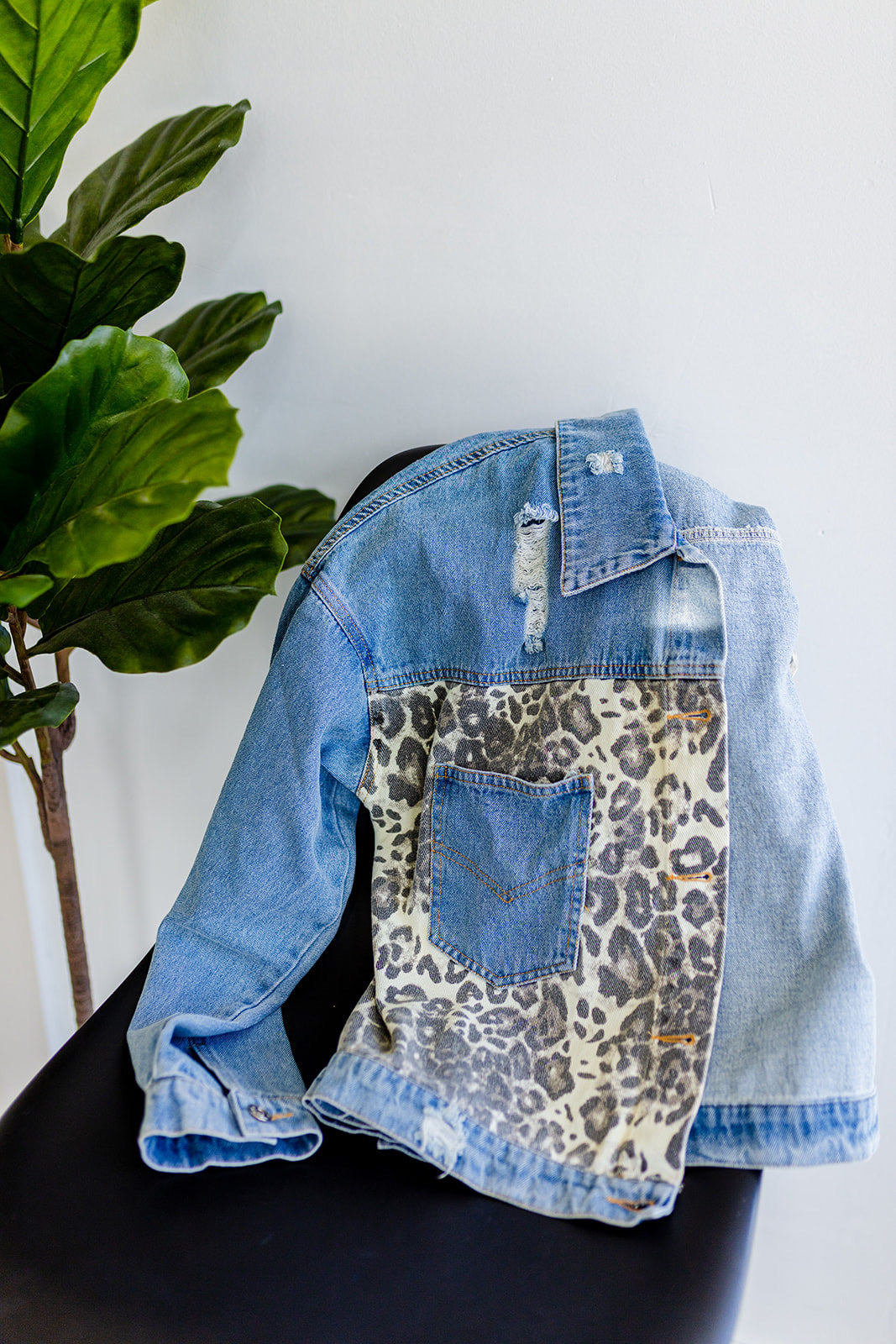 Goodness Gracious Denim Jacket