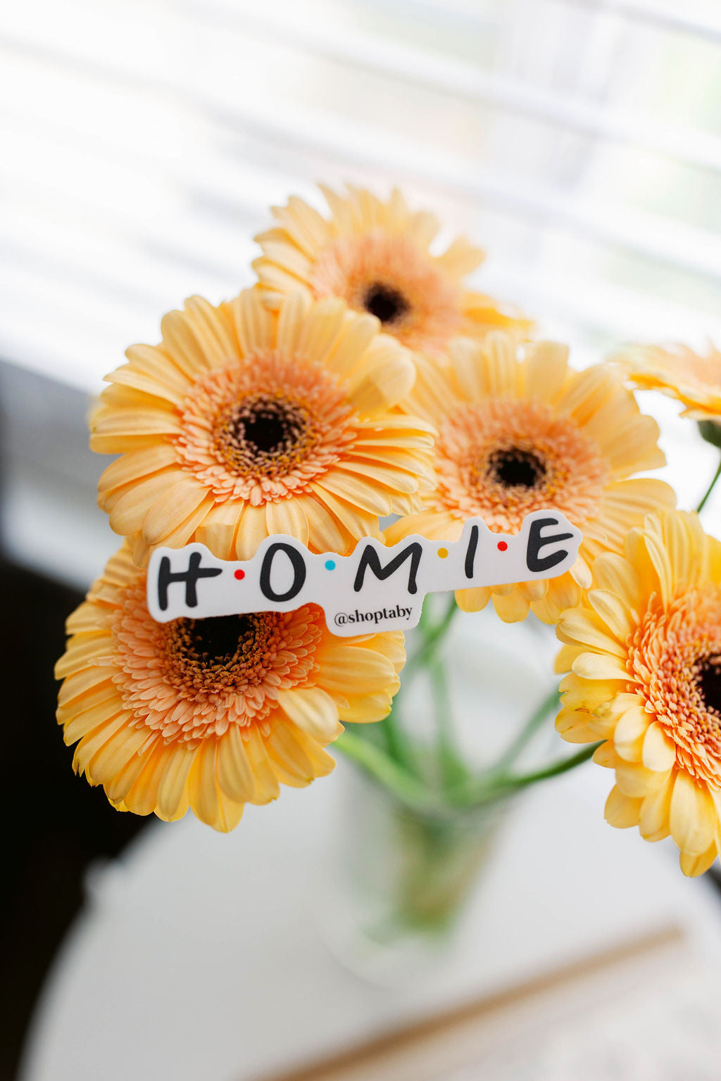 Homie Die Cut Sticker
